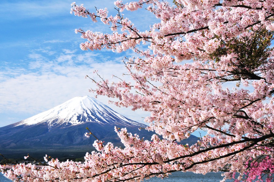 Mount FUJI